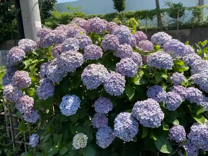 最勝寺教学院の自然