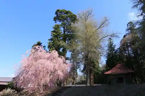 来福寺の景色