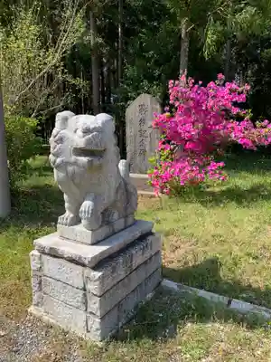 白山神社の狛犬