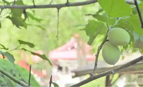 金蛇水神社(宮城県)