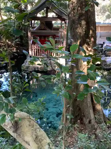 泉神社の末社・摂社