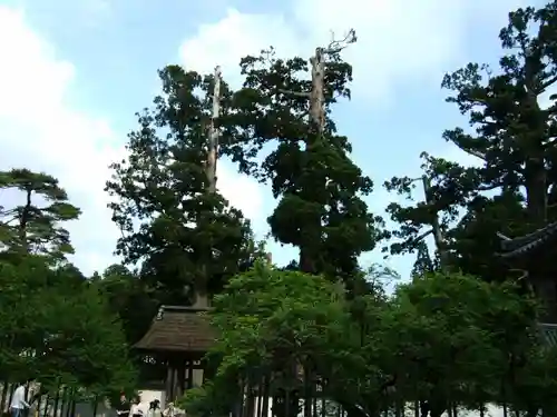 瑞巌寺(宮城県)