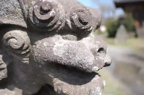 雷電神社の狛犬