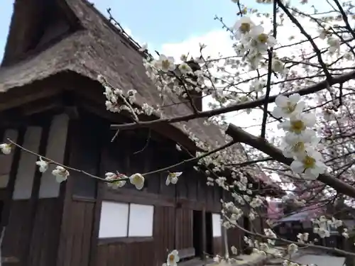 菟越神社(福井県)