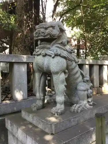 渋谷氷川神社の狛犬