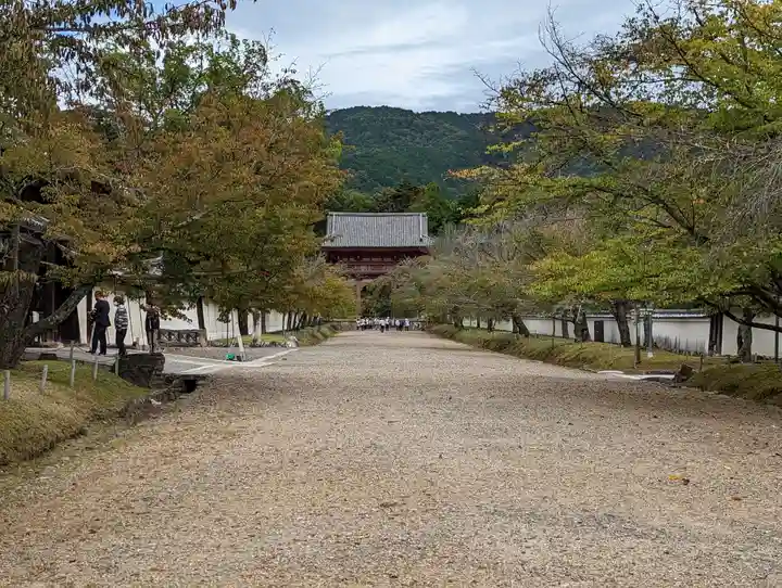 醍醐寺(京都府)