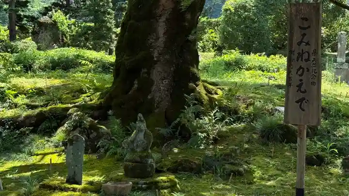 西善寺(埼玉県)