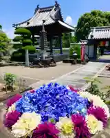 真言宗 善通寺派 薬王寺(香川県)