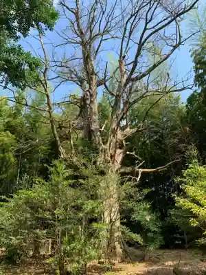 普賢院(千葉県)