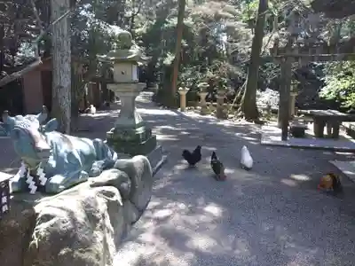 石上神宮(奈良県)