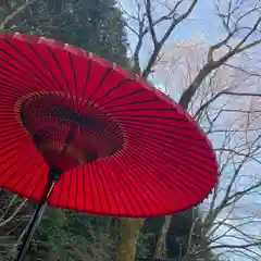 園城寺（三井寺）(滋賀県)