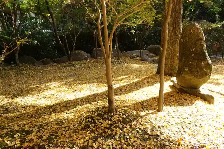 神峯山寺(大阪府)