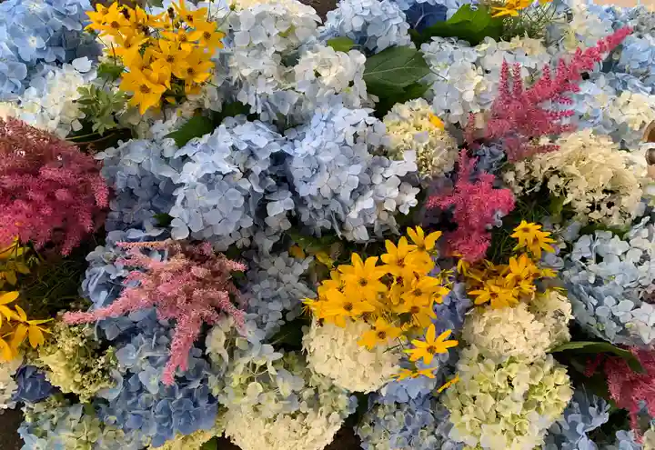 北広島市総鎮守 廣島神社の手水舎