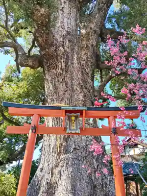 法楽寺の{uncategorized: "未分類", other: "その他", undefined: "問題あり", building: "その他建物", grave: "お墓", sacred_gate: "鳥居", guardian: "狛犬", statue: "像", buddha: "仏像", history: "歴史", nature: "自然", garden: "庭園", animal: "動物", pagoda: "塔", temizu: "手水舎", mountain_gate: "山門・神門", sanctuary: "本殿・本堂", subordinate: "末社・摂社", art: "芸術", scenery: "景色", jizo: "地蔵", ema: "絵馬", goshuin: "御朱印", omikuji: "おみくじ", items: "授与品その他", amulet: "お守り", goshuincho: "御朱印帳", eats: "食事", festival: "お祭り", votive_dance: "神楽", shichigosan: "七五三参", wedding: "結婚式", experience: "体験その他", initially: "初詣", around: "周辺", anti_infection: "感染症対策"}