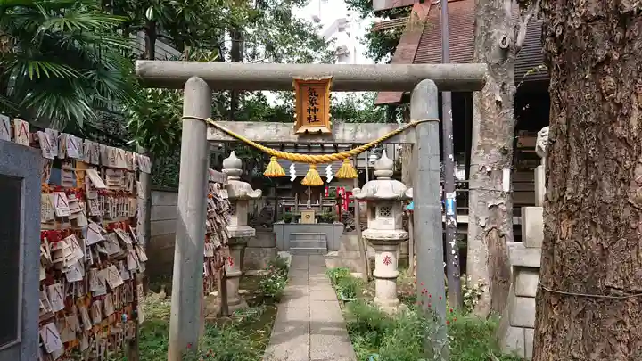 高円寺氷川神社の鳥居