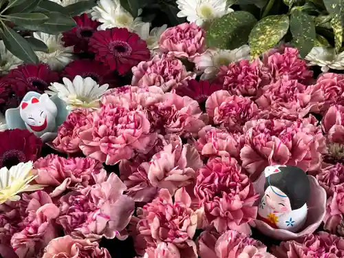 於菊稲荷神社の自然