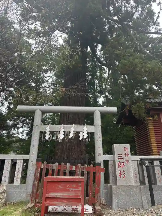 大杉神社(茨城県)