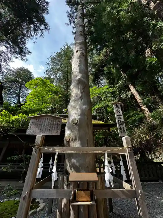 諏訪大社下社春宮(長野県)