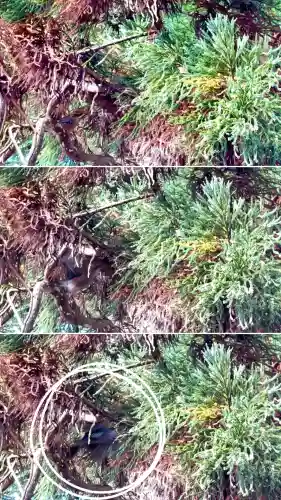 有川大神宮(北海道)