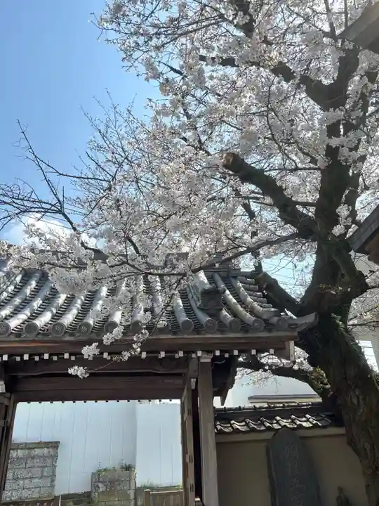 圓乗院(東京都)