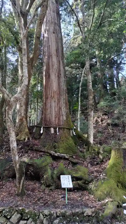 貴船神社奥宮の自然