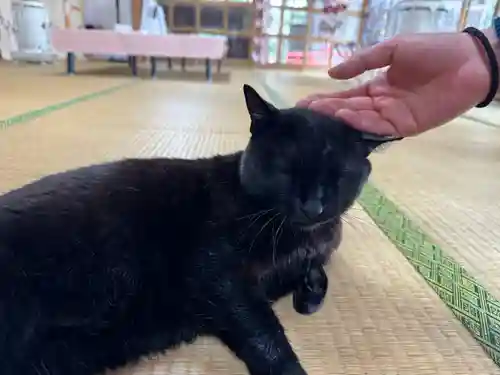 高司神社〜むすびの神の鎮まる社〜の御朱印