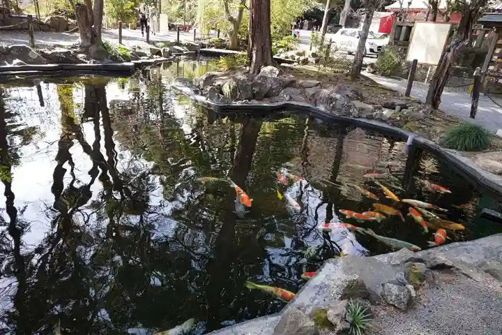 伊豆山神社(静岡県)