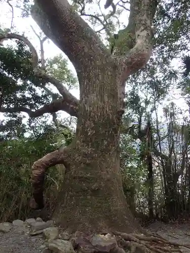 葭原神社（皇大神宮末社）の自然