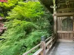 圓教寺の自然