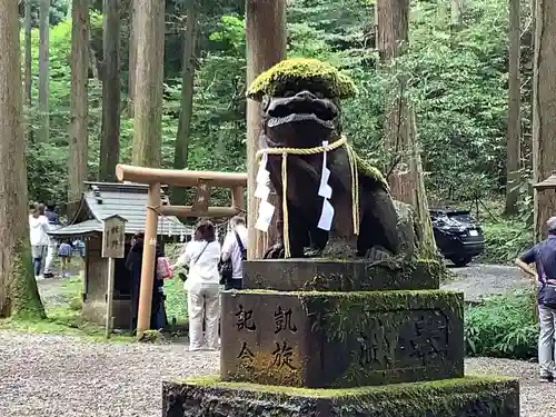 御岩神社の狛犬