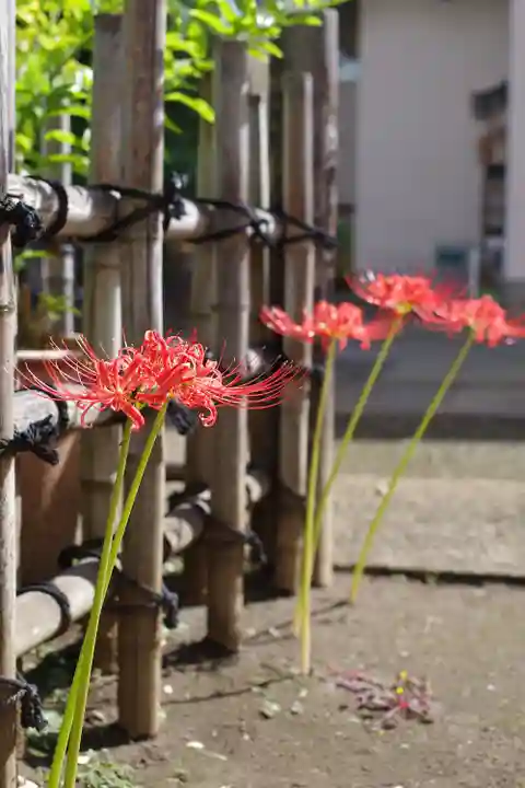 福王山 慈眼寺の自然