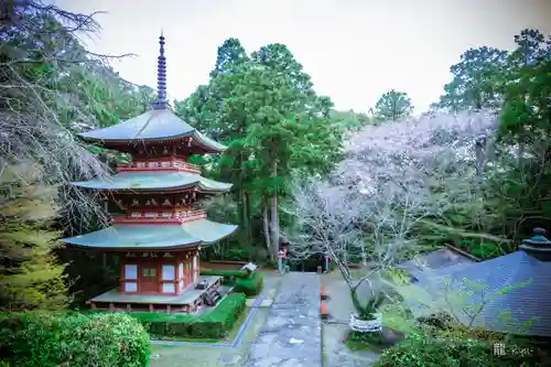 目の霊山　油山寺(静岡県)