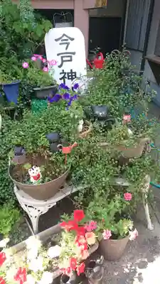 今戸神社(東京都)
