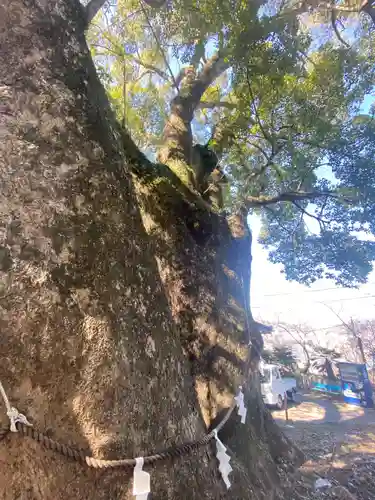 藤白神社(和歌山県)
