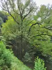 正法寺(滋賀県)