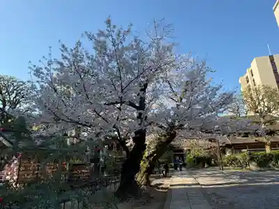 今戸神社(東京都)