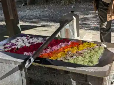 美濃國一宮　南宮大社(岐阜県)