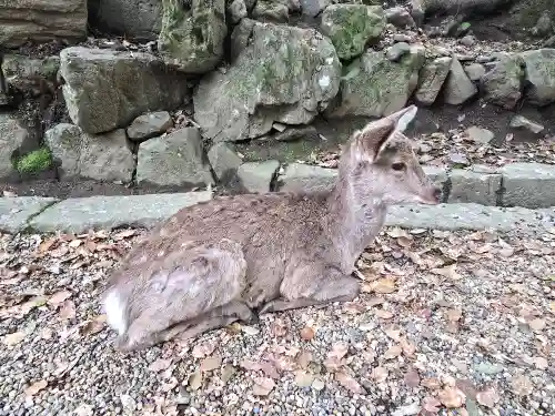 一言主神社(奈良県)