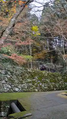蓮成院(京都府)