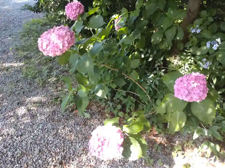 東沼神社の自然