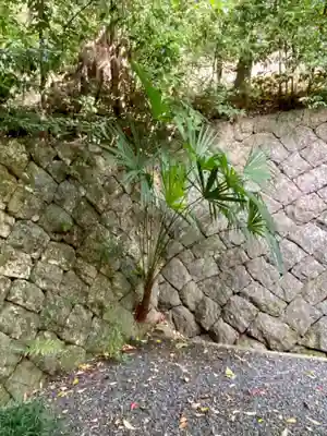 諸羽神社の自然