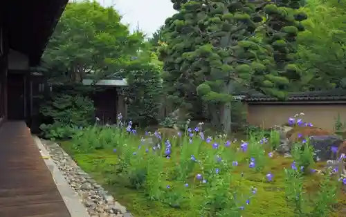 天得院(京都府)