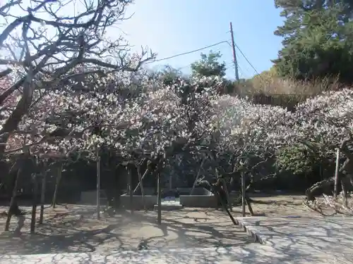 地福寺(神奈川県)