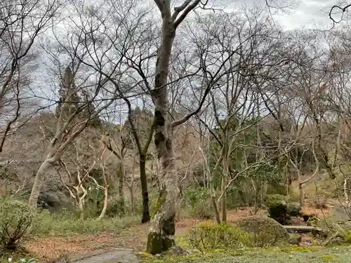 勝持寺（花の寺）(京都府)