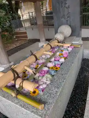 東郷神社(東京都)
