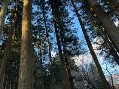 大宮温泉神社(栃木県)