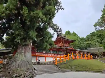 春日大社(奈良県)