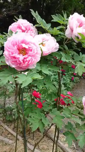 総持寺(滋賀県)