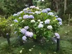 建長寺の自然