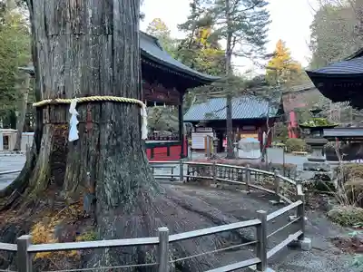 北口本宮冨士浅間神社(山梨県)